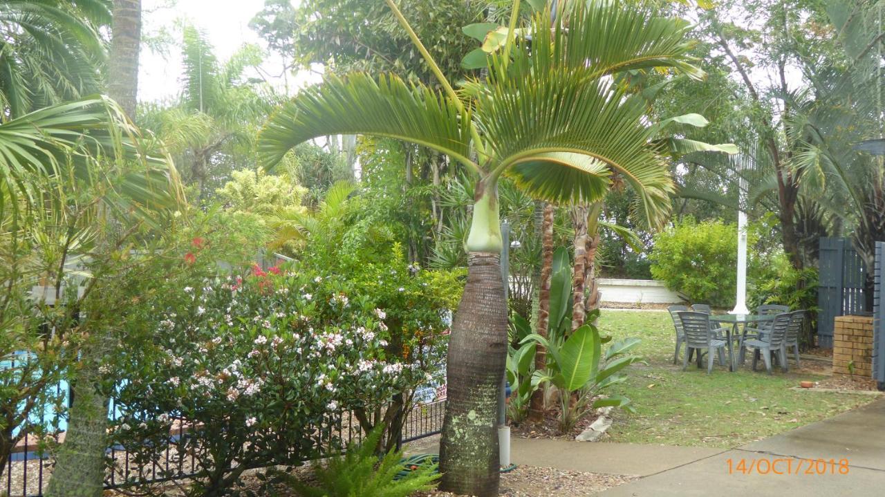 Tower Court Motel - Adults Only Haven Hervey Bay Dış mekan fotoğraf